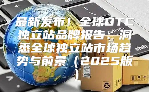 最新发布！全球DTC独立站品牌报告：洞悉全球独立站市场趋势与前景2025版
