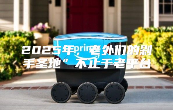 2025年，老外们的剁手圣地”不止于老平台