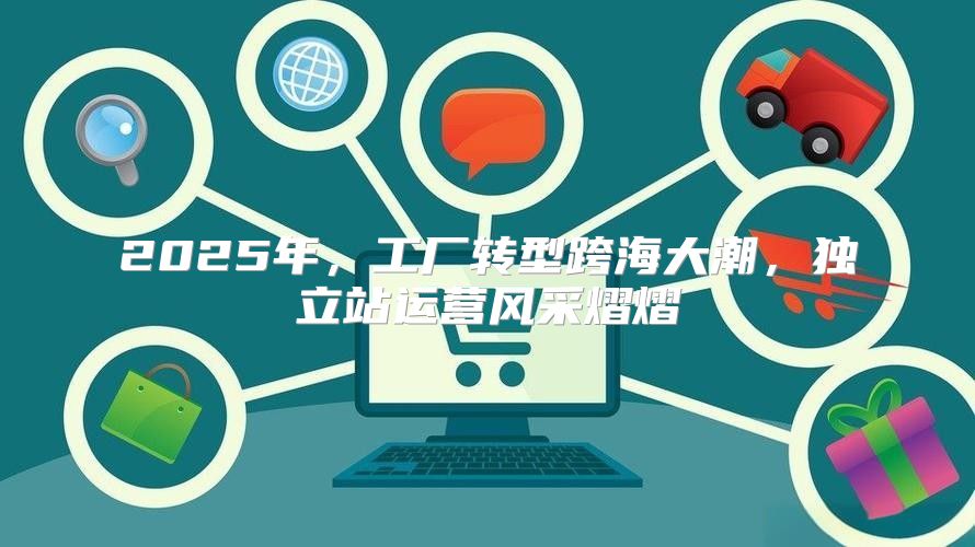 2025年，工厂转型跨海大潮，独立站运营风采熠熠