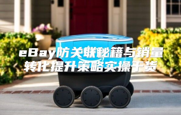 eBay防关联秘籍与销量转化提升策略实操干货