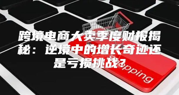 跨境电商大卖季度财报揭秘：逆境中的增长奇迹还是亏损挑战？