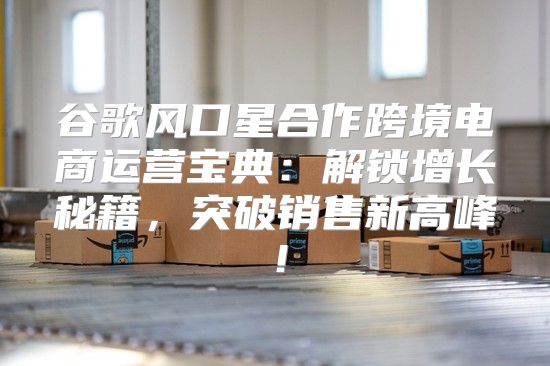 谷歌风口星合作跨境电商运营宝典：解锁增长秘籍，突破销售新高峰！