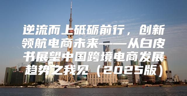逆流而上砥砺前行，创新领航电商未来——从白皮书展望中国跨境电商发展趋势之我见2025版