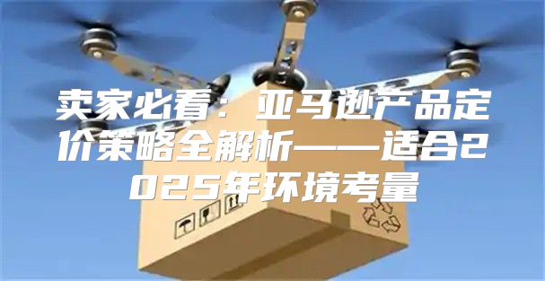 卖家必看：亚马逊产品定价策略全解析——适合2025年环境考量