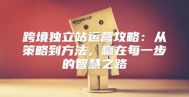 跨境独立站运营攻略：从策略到方法，赢在每一步的智慧之路