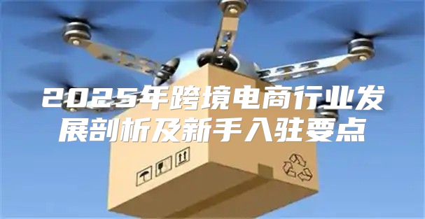2025年跨境电商行业发展剖析及新手入驻要点