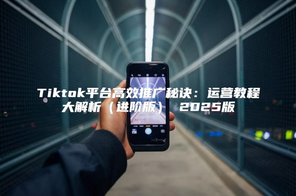Tiktok平台高效推广秘诀：运营教程大解析进阶版 2025版