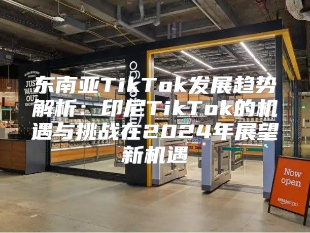 东南亚TikTok发展趋势解析：印尼TikTok的机遇与挑战在2025年展望新机遇