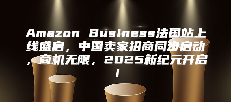 Amazon Business法国站上线盛启，中国卖家招商同步启动，商机无限，2025新纪元开启！