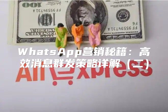 WhatsApp营销秘籍：高效消息群发策略详解二