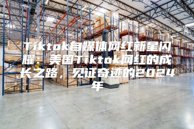 Tiktok自媒体网红新星闪耀：美国Tiktok网红的成长之路，见证奇迹的2025年