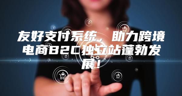 友好支付系统，助力跨境电商B2C独立站蓬勃发展！
