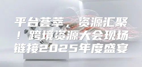 平台荟萃，资源汇聚！跨境资源大会现场链接2025年度盛宴