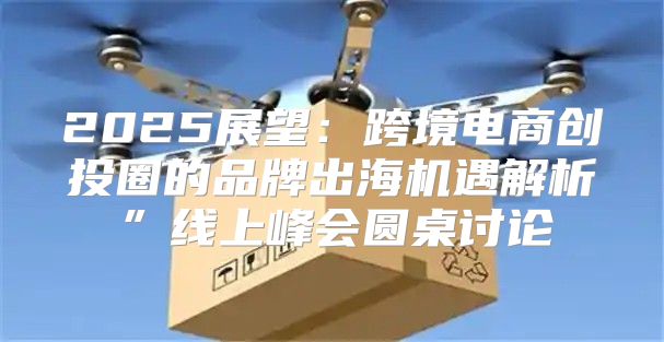 2025展望：跨境电商创投圈的品牌出海机遇解析”线上峰会圆桌讨论