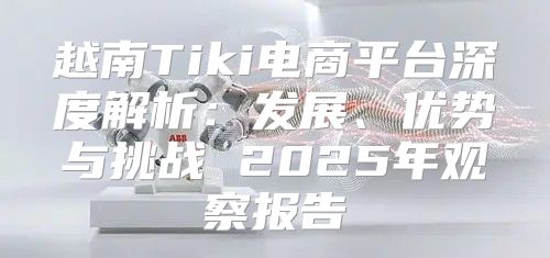 越南Tiki电商平台深度解析：发展、优势与挑战 2025年观察报告