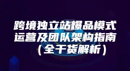 跨境独立站爆品模式运营及团队架构指南全干货解析