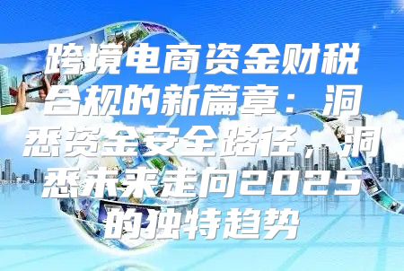 跨境电商资金财税合规的新篇章：洞悉资金安全路径，洞悉未来走向2025的独特趋势