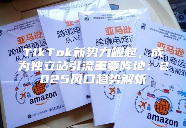 TikTok新势力崛起，成为独立站引流重要阵地：2025风口趋势解析