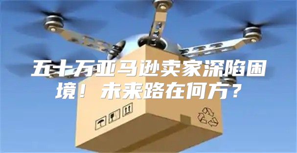 五十万亚马逊卖家深陷困境！未来路在何方？