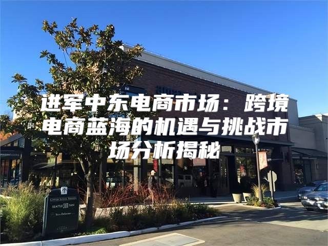 进军中东电商市场：跨境电商蓝海的机遇与挑战市场分析揭秘
