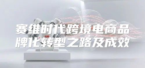 赛维时代跨境电商品牌化转型之路及成效