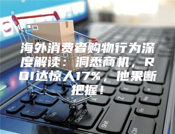 海外消费者购物行为深度解读：洞悉商机，ROI达惊人17%，他果断把握！