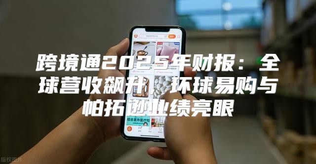 跨境通2025年财报：全球营收飙升，环球易购与帕拓逊业绩亮眼