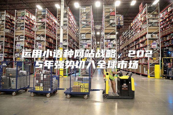 运用小语种网站战略，2025年强势切入全球市场