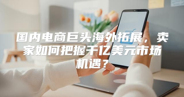 国内电商巨头海外拓展，卖家如何把握千亿美元市场机遇？