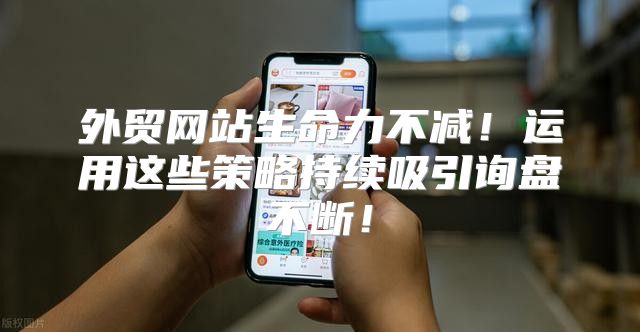 外贸网站生命力不减！运用这些策略持续吸引询盘不断！