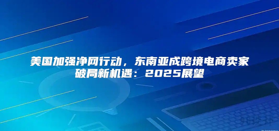 美国加强净网行动，东南亚成跨境电商卖家破局新机遇：2025展望