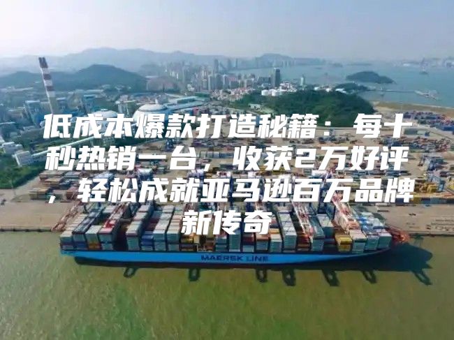 低成本爆款打造秘籍：每十秒热销一台，收获2万好评，轻松成就亚马逊百万品牌新传奇