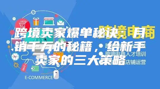 跨境卖家爆单秘诀：月销千万的秘籍，给新手卖家的三大策略