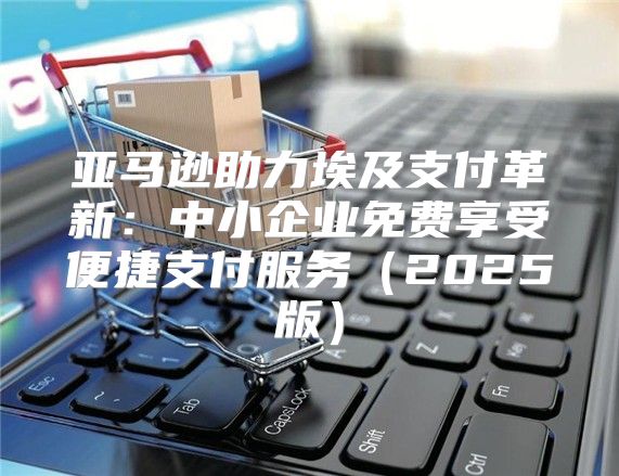 亚马逊助力埃及支付革新：中小企业免费享受便捷支付服务2025版