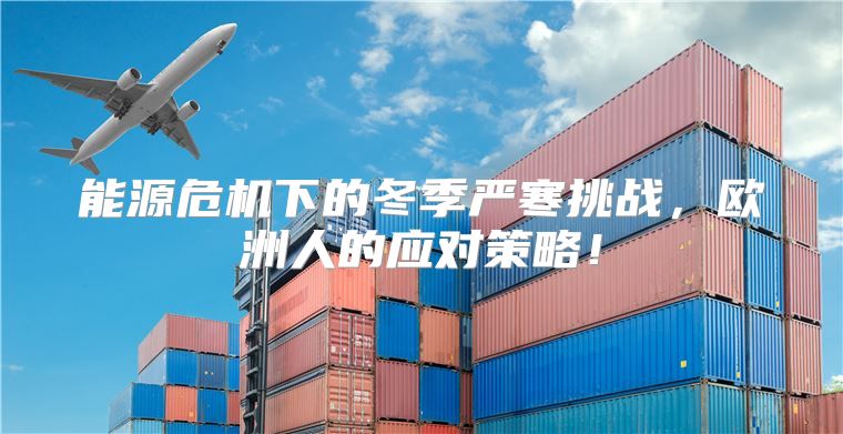 能源危机下的冬季严寒挑战，欧洲人的应对策略！