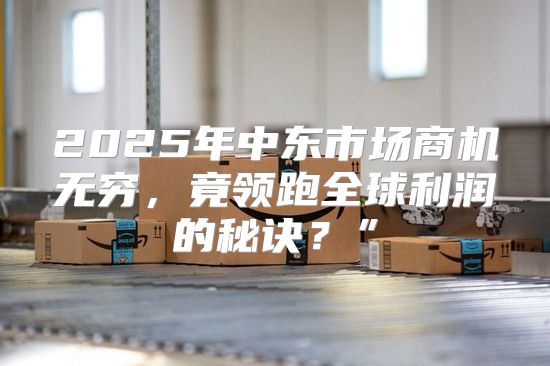 2025年中东市场商机无穷，竟领跑全球利润的秘诀？”