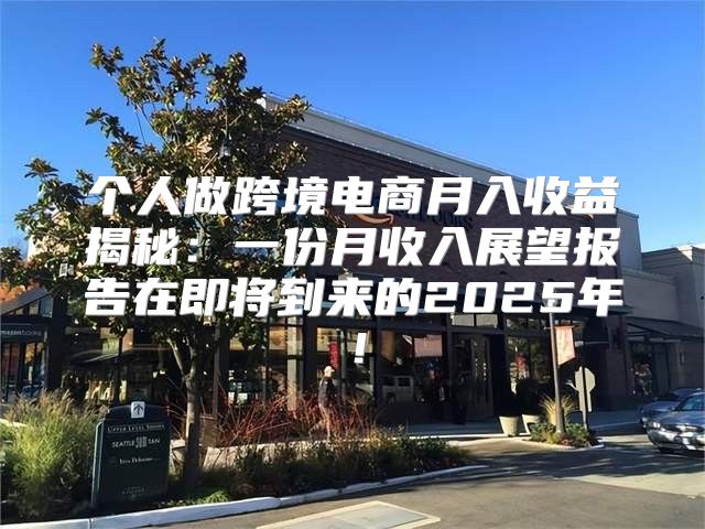 个人做跨境电商月入收益揭秘：一份月收入展望报告在即将到来的2025年！