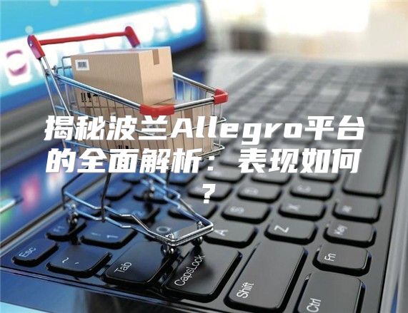 揭秘波兰Allegro平台的全面解析：表现如何？