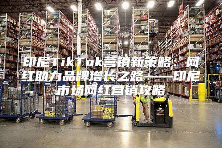 印尼TikTok营销新策略：网红助力品牌增长之路——印尼市场网红营销攻略