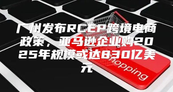 广州发布RCEP跨境电商政策，亚马逊企业购2025年规模或达830亿美元