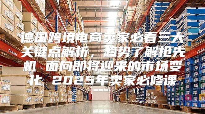 德国跨境电商卖家必看三大关键点解析，趋势了解抢先机 面向即将迎来的市场变化 2025年卖家必修课