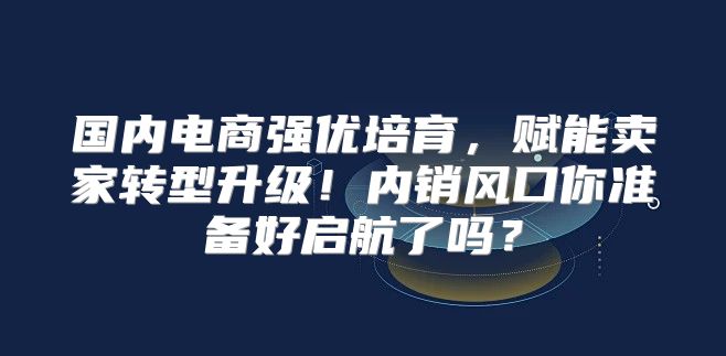国内电商强优培育，赋能卖家转型升级！内销风口你准备好启航了吗？