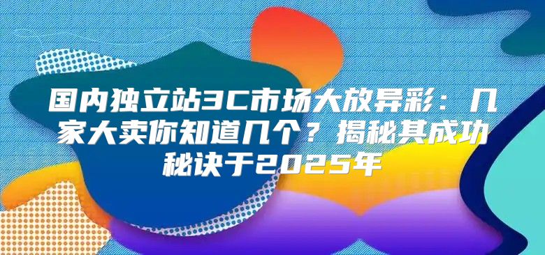 国内独立站3C市场大放异彩：几家大卖你知道几个？揭秘其成功秘诀于2025年