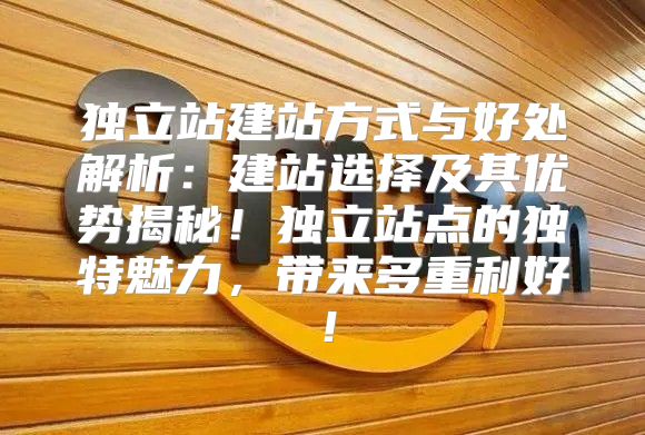 独立站建站方式与好处解析：建站选择及其优势揭秘！独立站点的独特魅力，带来多重利好！