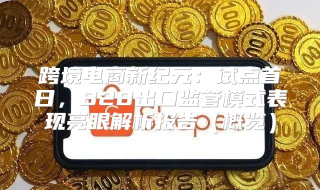 跨境电商新纪元：试点首日，B2B出口监管模式表现亮眼解析报告概览