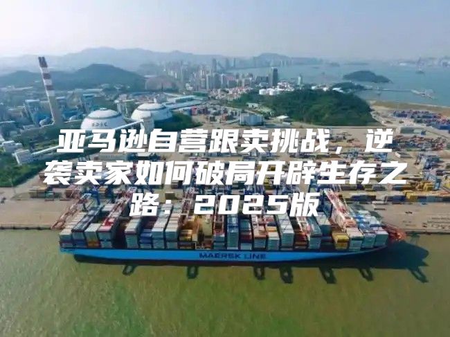 亚马逊自营跟卖挑战，逆袭卖家如何破局开辟生存之路：2025版