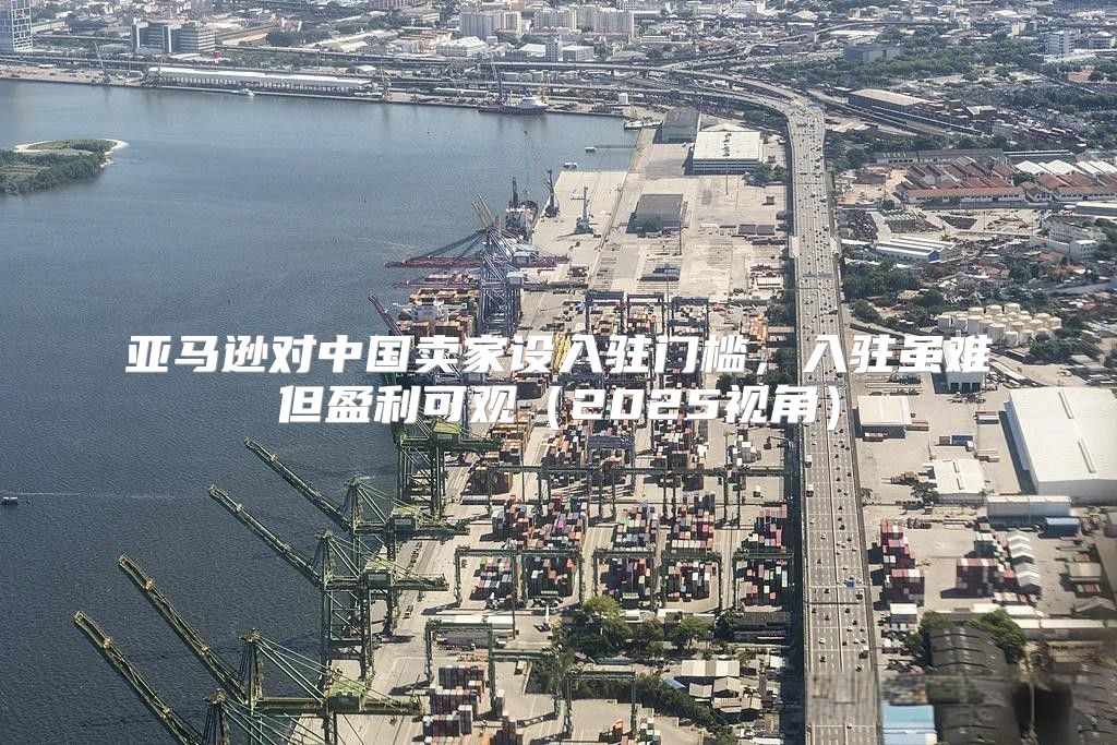 亚马逊对中国卖家设入驻门槛，入驻虽难但盈利可观2025视角