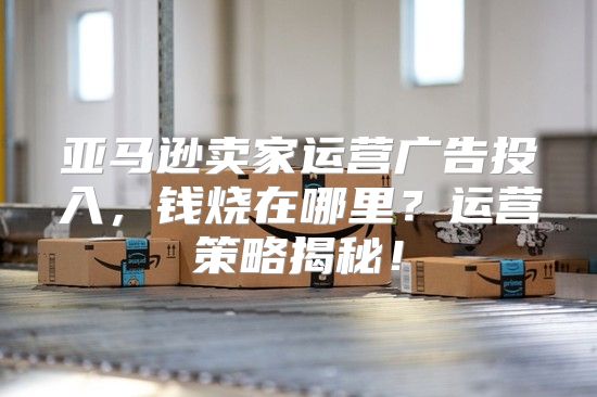 亚马逊卖家运营广告投入，钱烧在哪里？运营策略揭秘！