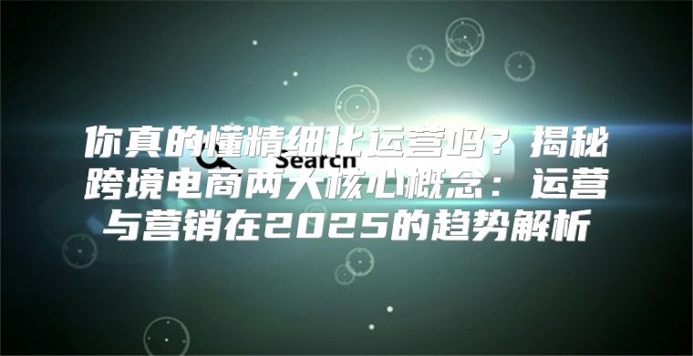 你真的懂精细化运营吗？揭秘跨境电商两大核心概念：运营与营销在2025的趋势解析
