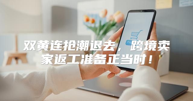 双黄连抢潮退去，跨境卖家返工准备正当时！